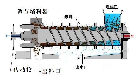 单螺旋脱水机.jpg